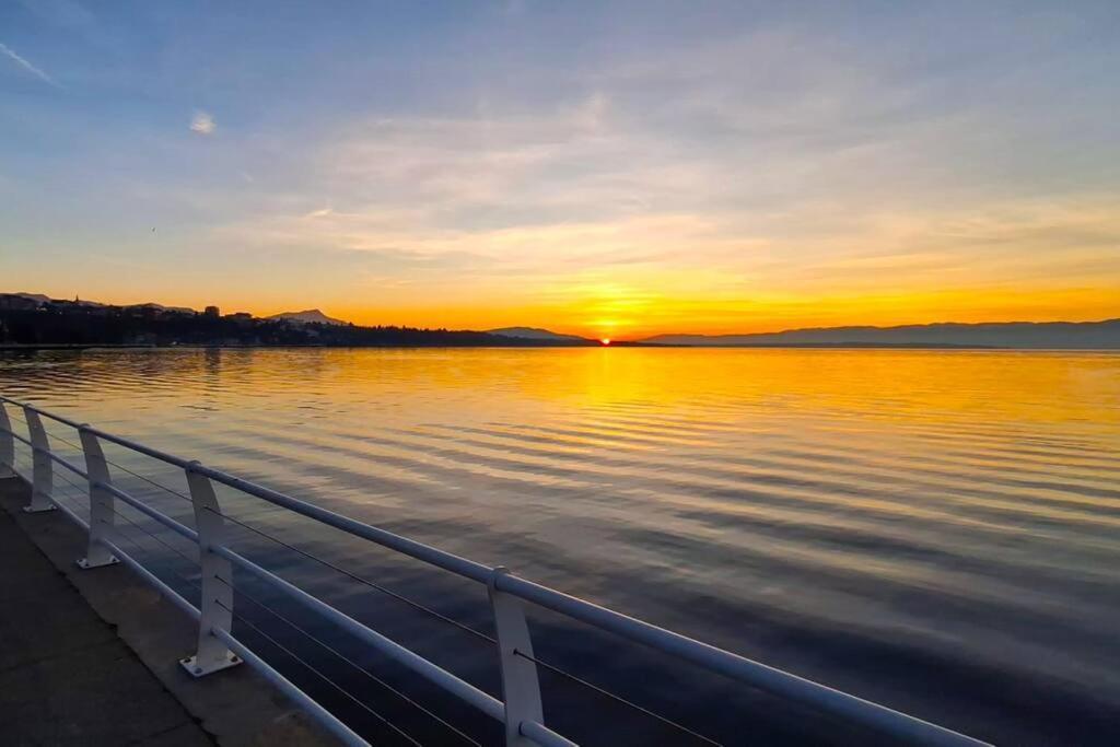 Appartement Avec Vue 180 Sur Le Lac Leman Thonon-les-Bains Exterior foto